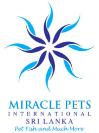 MIRACLE PETS International Sri Lanka